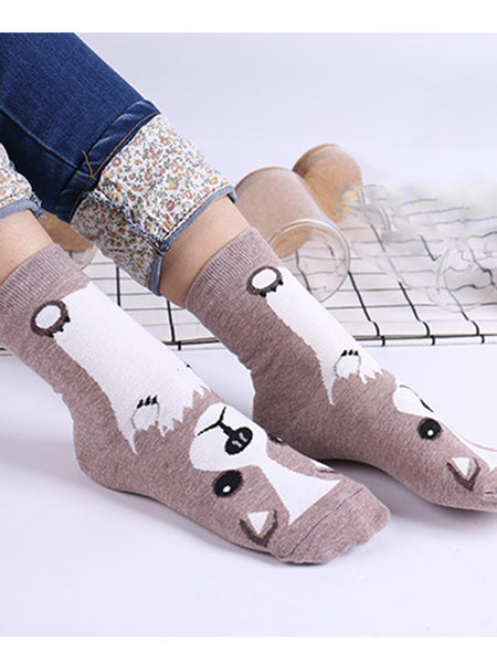 Girls Socks Corgi Dog Crew Socks 5 Set AGT015
