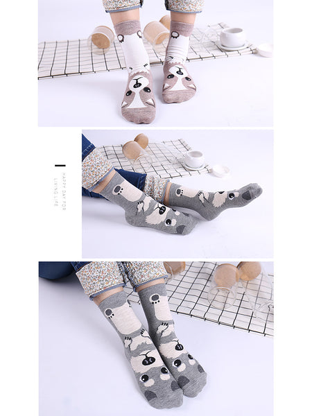 Girls Socks Corgi Dog Crew Socks 5 Set AGT015